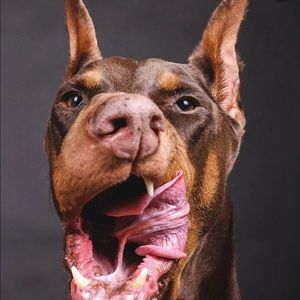 Meet your Posher, Chase